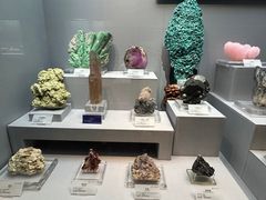 -湖南省地质博物馆