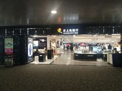 -日上免税行(浦东机场五店)