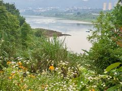 -金海湾滨江公园