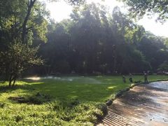 -杭州花家山庄
