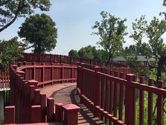 -杭州湾海上花田景区