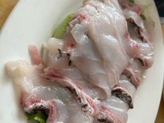 -金砂阿洲鱼册店