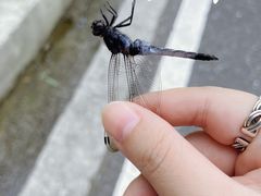 -山沟沟景区
