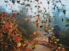 -云峰山自然风景区