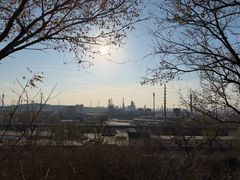 -白水寺森林公园