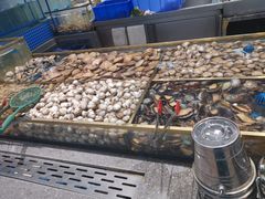-半岛听涛蒸汽海鲜自助(K11店)