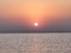 -合肥滨湖国家森林公园