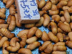 -都斛海鲜街