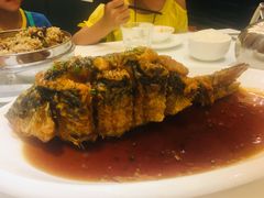 老济南糖醋鲤鱼-金春禧(世茂国际广场店)