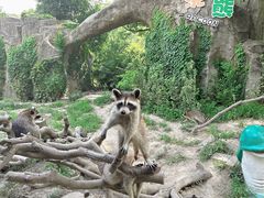 -宁波野生动物园