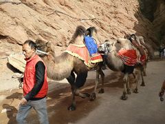 -天山神秘大峡谷