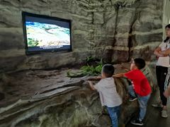 -自贡恐龙博物馆