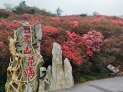 -木兰云雾山