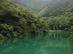 景点-紫云谷景区