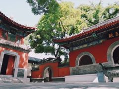 -青龙山景区