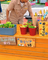 -造物庄园 萌宠纪(苏州湾歌林公园店)