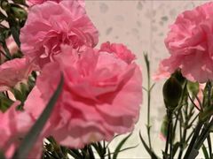 -L'Arome芳芳法国餐厅(仙林金鹰店)