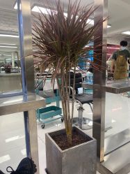 点击看大图 -P.STYLE 派斯造型