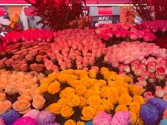 -越秀西湖花市(广州城市广场花卉店)
