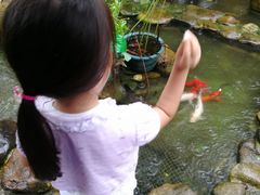 -园林美食城·本土农家菜(杨和镇店)