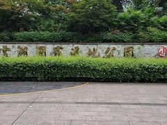 -重庆彩云湖湿地公园