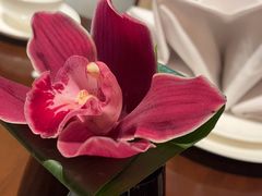 -彩丰楼·中餐厅(国家会展中心上海洲际店)