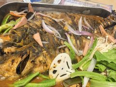 -鱼酷活鱼烤鱼(沈阳大悦城店)