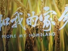 -万达影城IMAX(海口日月广场店)