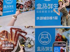 -鹏欣水游城