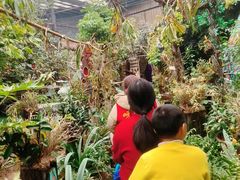 -呀路古热带植物园
