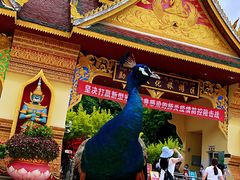 -西双版纳勐泐文化旅游区