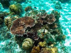 -西涌国际滨海旅游区