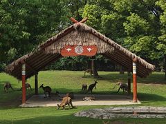 -上海野生动物园