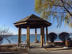 -丁香湖公园