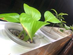 -望京一号·重庆江湖菜(工体店)