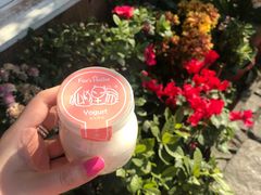 -狐狸家·酸奶酪专门店(平江路店)