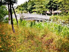 -映月湖公园