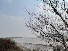 -平湖九龙山旅游度假区