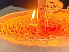 -维尔纳斯·生日蛋糕·动物奶油冰淇淋蛋糕(六里桥店)