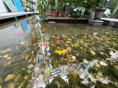 -绿房子方寸咖啡(星海名城店)
