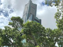 -高雄85大楼-观景台