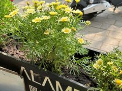 景观位-ALAMEEN阿拉伯餐厅(三里屯店)