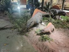 -湖南省地质博物馆