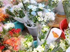 -循礼门鲜花花市(武汉循礼门店)