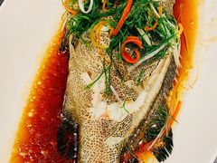 -京香轩·中餐厅(上海中庚聚龙酒店)