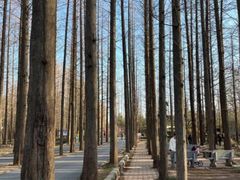 -渡海小渔村.老辈日照菜