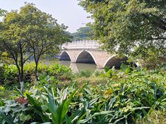 -海珠湖公园