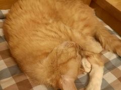 -达爱动物医院·犬猫分区·CT·复杂眼科(远洋山水分院)
