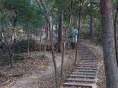 -紫金山山顶公园