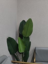 -坤如玛丽·医疗美容中心
